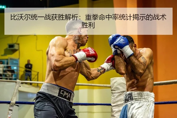 比沃尔统一战获胜解析：重拳命中率统计揭示的战术胜利